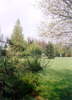 Libereck� park.