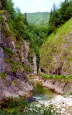 Nationalpark Kalkalpen.