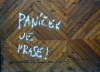 P�n��ek je prase.