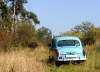 Auto v lese.
