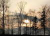 Z�pad mezi stromy v Z�ol��.