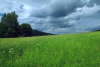 �umavsk� louka.