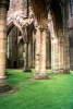 Tintern Abbey.