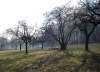 Rybn�ky u P�sku.