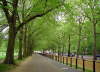 Park sv. Jamese, Lond�n.