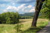 �eskosask� �v�carsko.